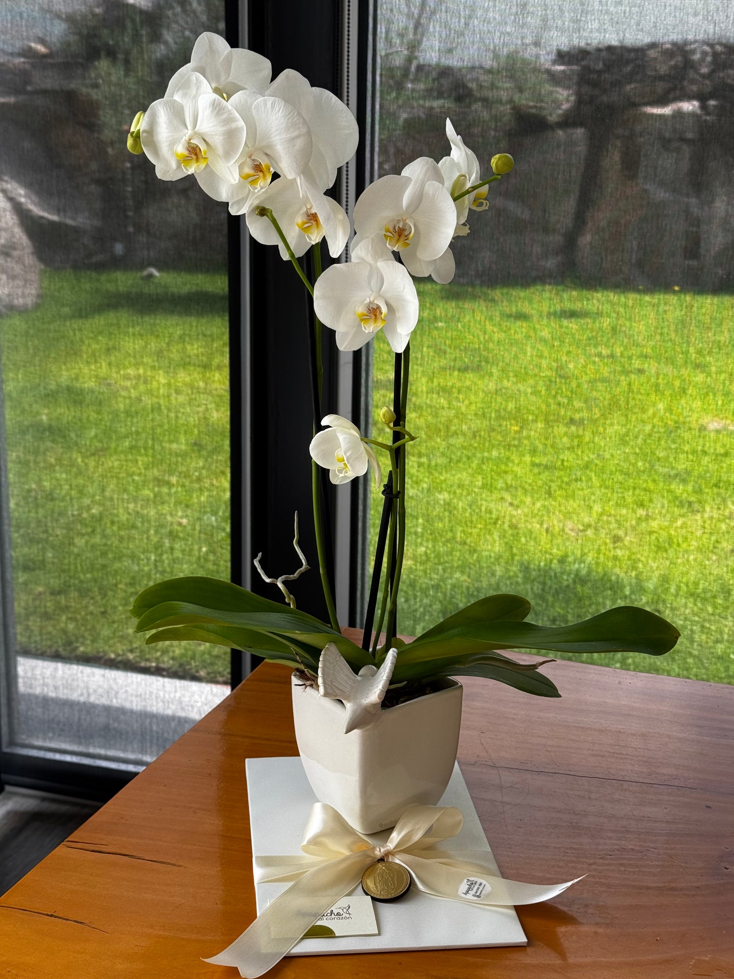 MACETA BLANCA CON COLIBRI Y ORQUIDEA
