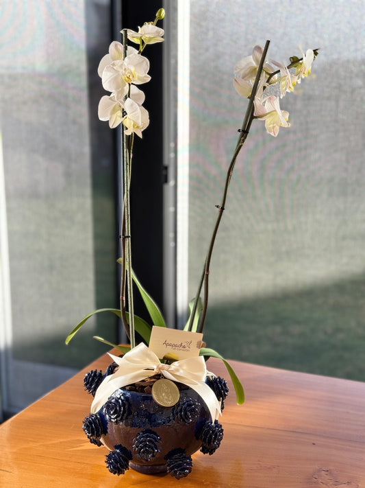 MACETA VIDRIADA REDONDA CON ORQUIDEA